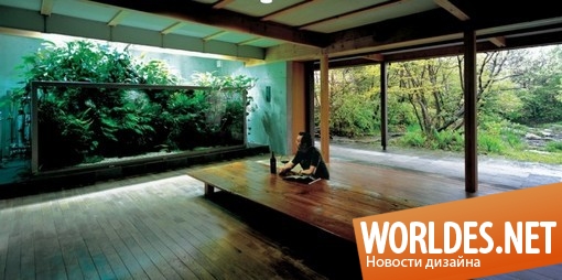 дизайн аквариумов, декоративный дизайн, акваскейпинг, красивые аквариумы, аквариумы Такаши Амано