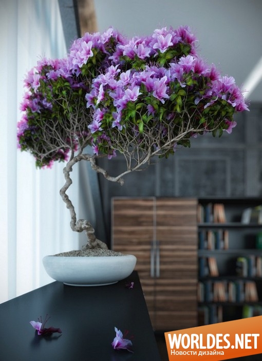 дизайн интерьеров, цветы в интерьере, комнатные растения в интерьере, дерево бонсай в интерьере
