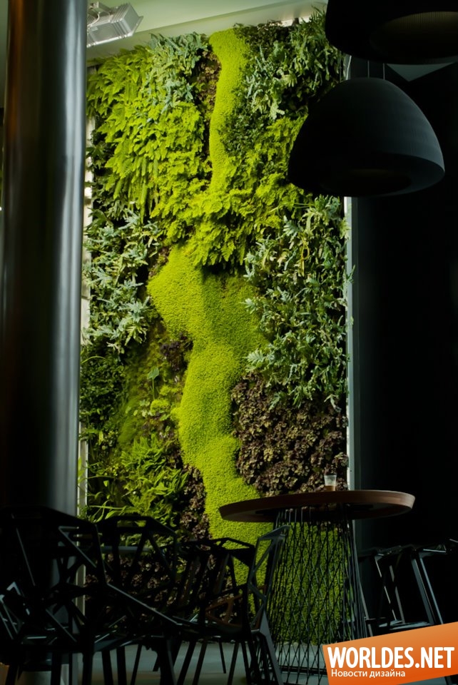 декоративный дизайн, оформление интерьера, вертикальные сады, зеленое оформление в интерьере