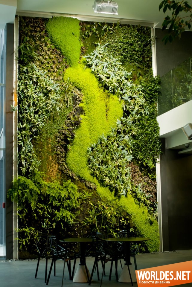 декоративный дизайн, оформление интерьера, вертикальные сады, зеленое оформление в интерьере