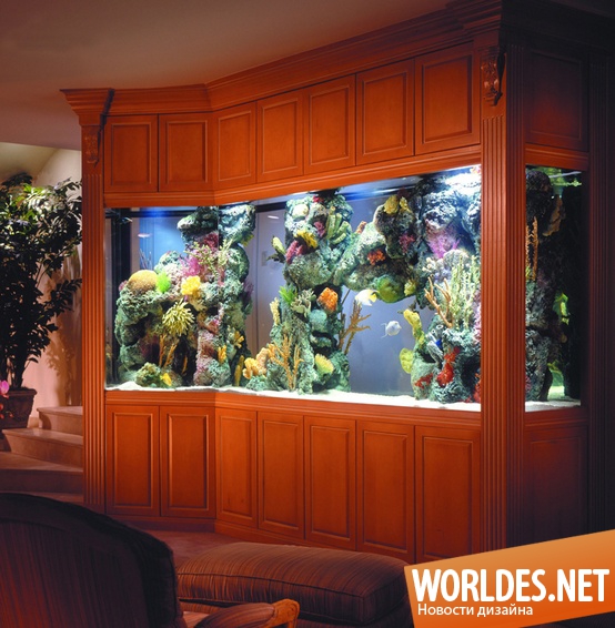 оригинальные аквариумы, оригинальные идеи аквариумов, интересные аквариумы, разные аквариумы