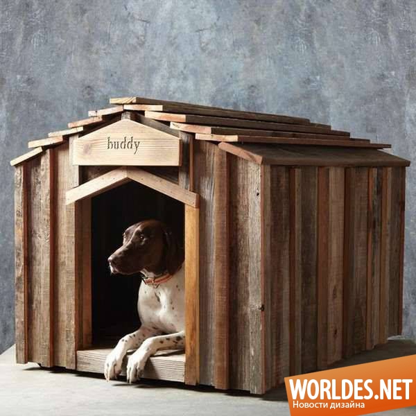 дома для собак, жилье для собак, мебель для собак, мебель для собак фото