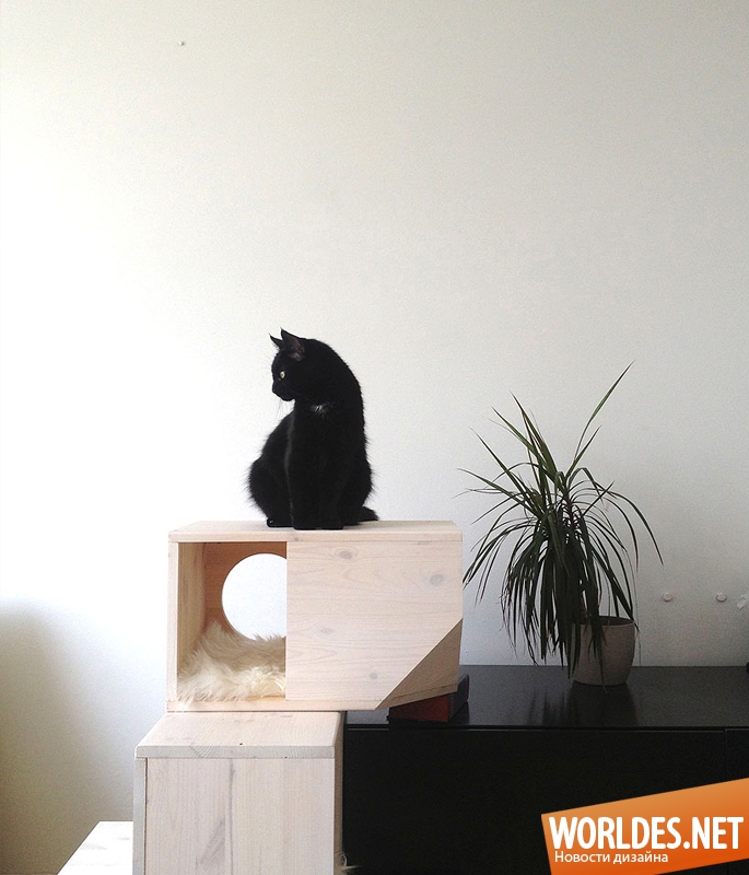 мебель для кошек, мебель для кошек фото, дизайн мебели для кошек, оборудование для кошек