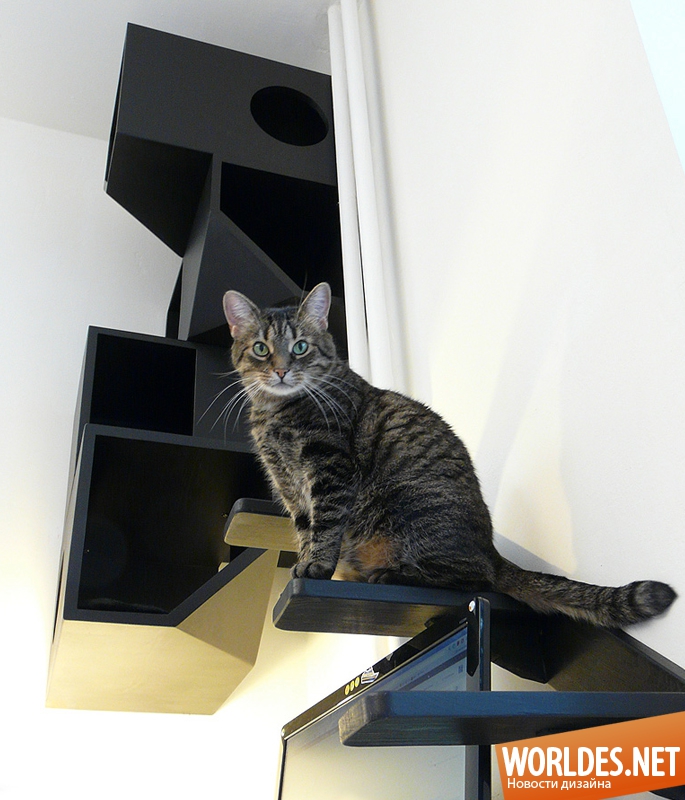 мебель для кошек, мебель для кошек фото, дизайн мебели для кошек, оборудование для кошек