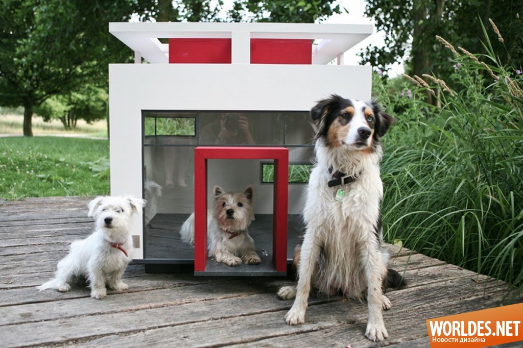 Домики для собак в домашних условиях
