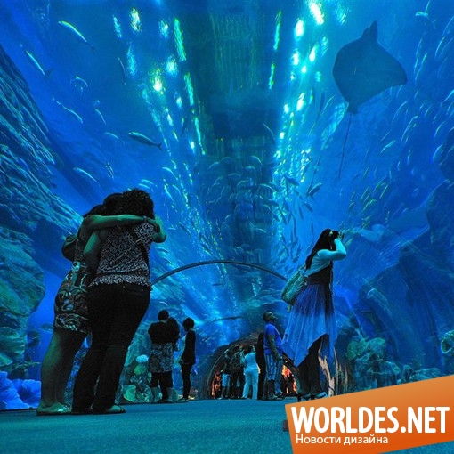 крупнейший аквариум в мире, большой аквариум, большой аквариум фото, аквариум, аквариум фото, аквариум дизайн