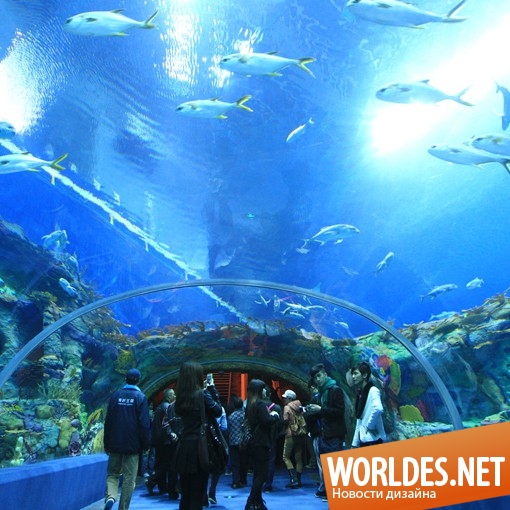 крупнейший аквариум в мире, большой аквариум, большой аквариум фото, аквариум, аквариум фото, аквариум дизайн