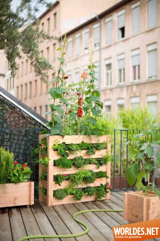 идеи для вертикального сада, вертикальные сады, вертикальные сады своими руками, вертикальные сады фото, вертикальные сады в квартире